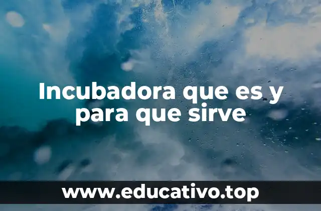 Incubadora que es y para que sirve