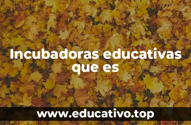 Incubadoras educativas que es