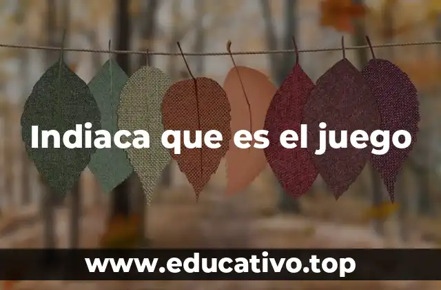 Indiaca que es el juego