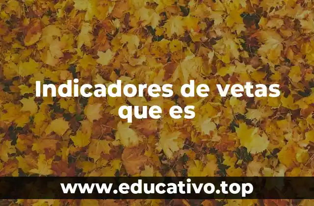 Indicadores de vetas que es