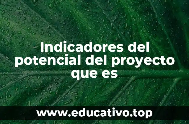 Indicadores del potencial del proyecto que es
