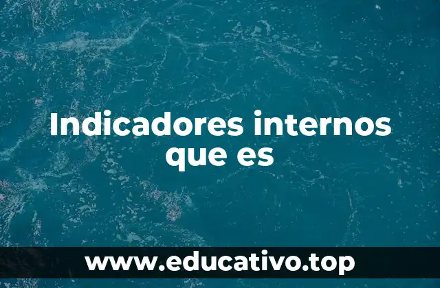 Indicadores internos que es