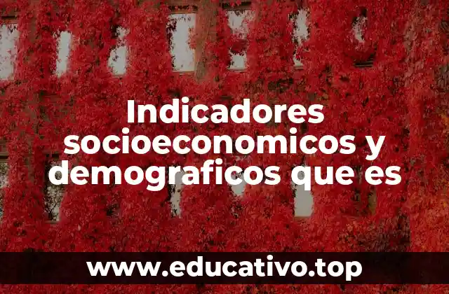 Indicadores socioeconomicos y demograficos que es
