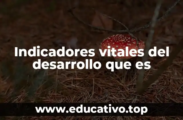 Indicadores vitales del desarrollo que es