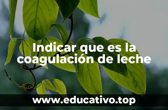 Indicar que es la coagulación de leche