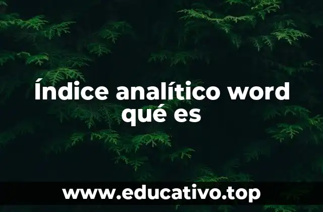Índice analítico word qué es