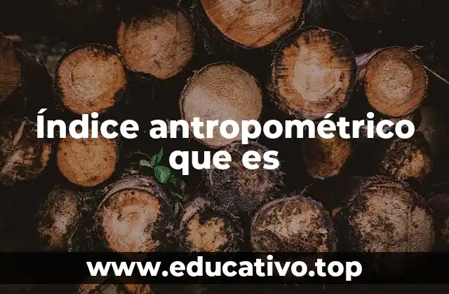 Índice antropométrico que es