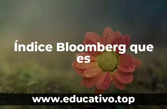 Índice Bloomberg que es