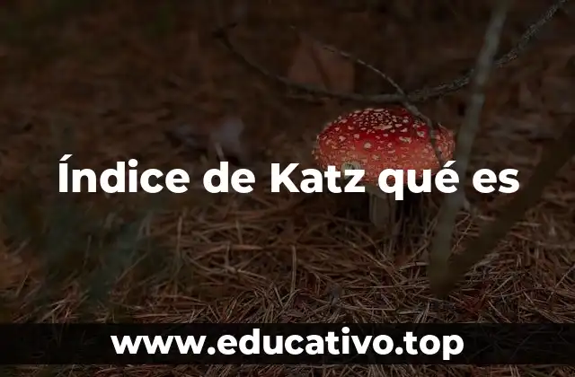 Índice de Katz qué es