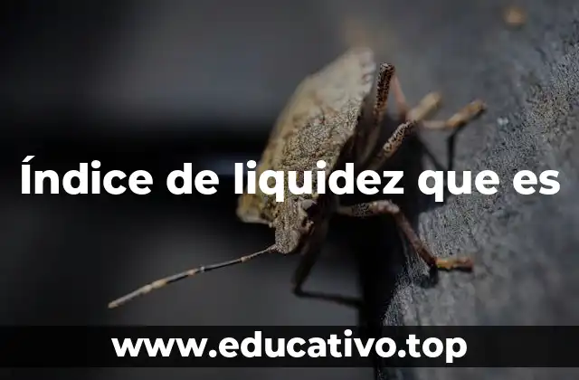 Índice de liquidez que es