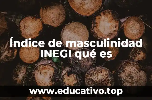 Índice de masculinidad INEGI qué es