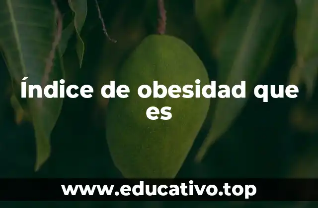 Índice de obesidad que es