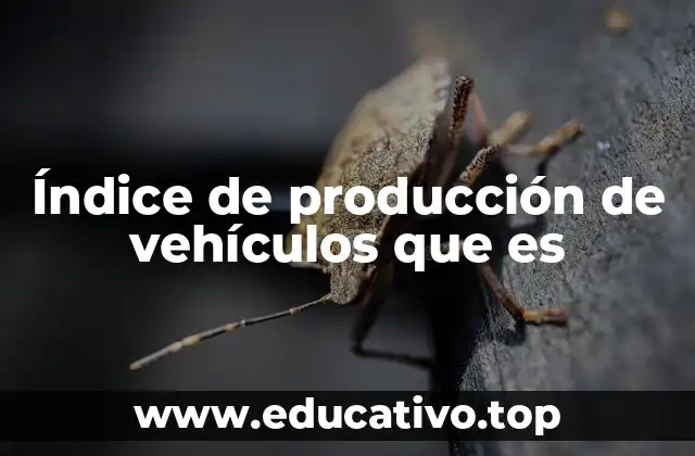 Índice de producción de vehículos que es