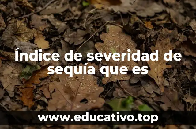 Índice de severidad de sequía que es