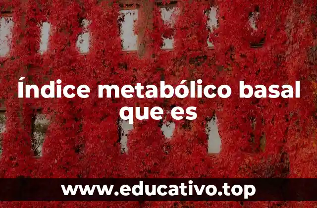 Índice metabólico basal que es