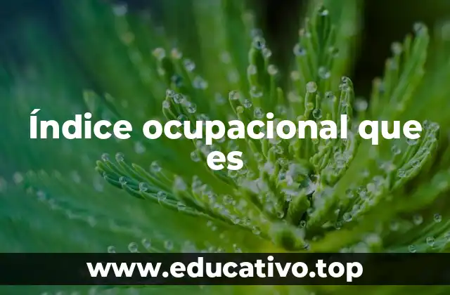 Índice ocupacional que es