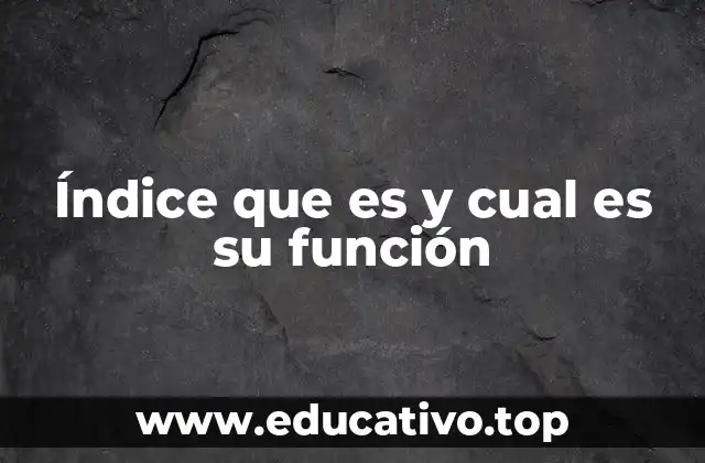 Índice que es y cual es su función