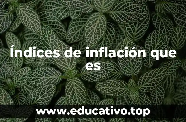 Índices de inflación que es