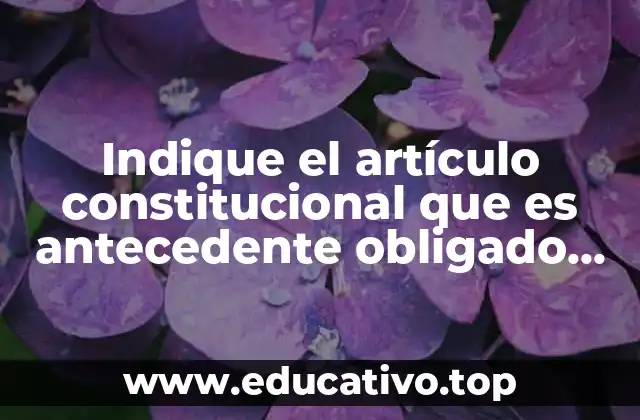 Indique el artículo constitucional que es antecedente obligado del sindicato