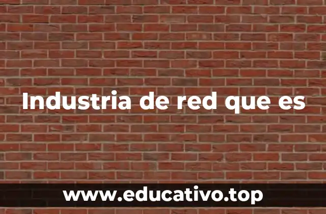 Industria de red que es