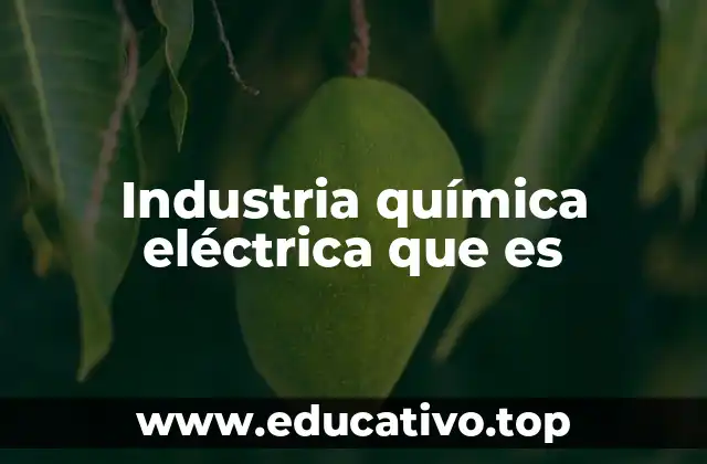 Industria química eléctrica que es