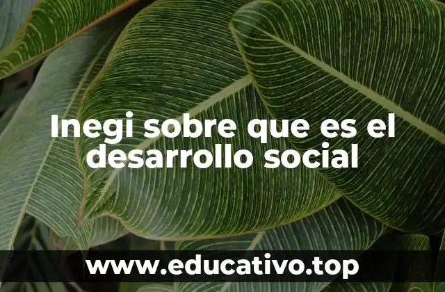 Inegi sobre que es el desarrollo social
