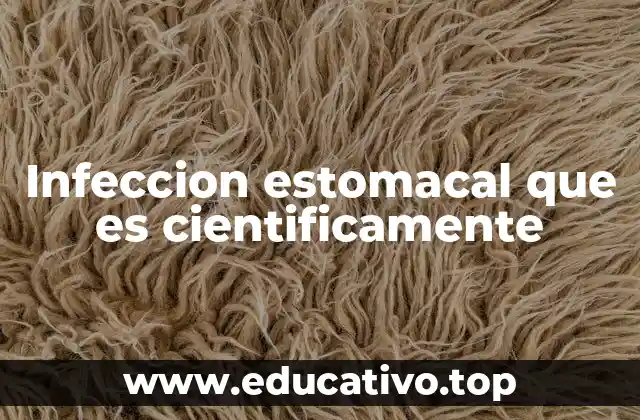 Infeccion estomacal que es cientificamente