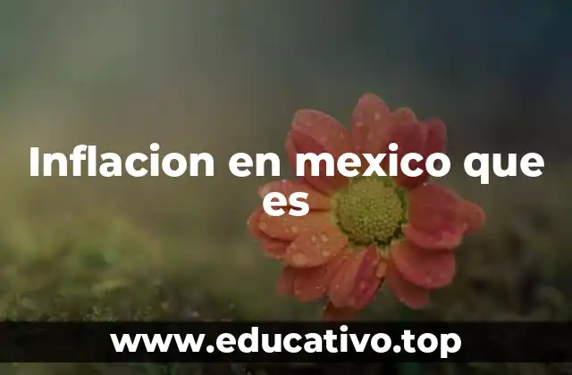 Inflacion en mexico que es