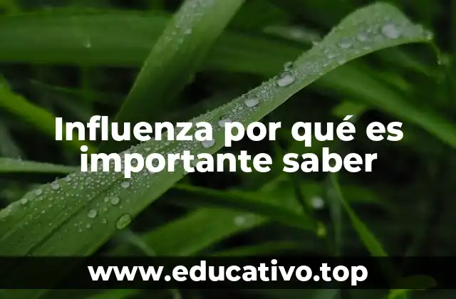 Influenza por qué es importante saber