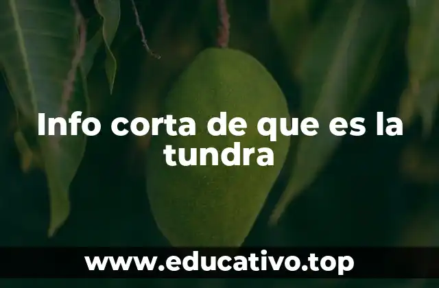 Info corta de que es la tundra