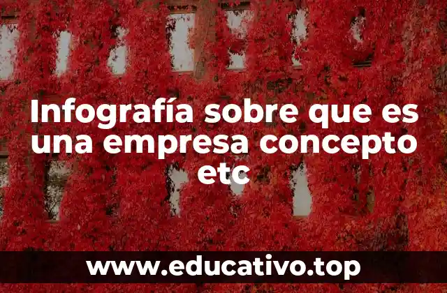 Infografía sobre que es una empresa concepto etc