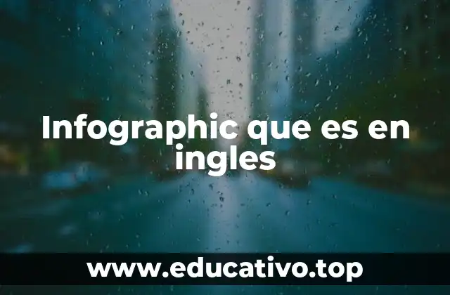 Infographic que es en ingles