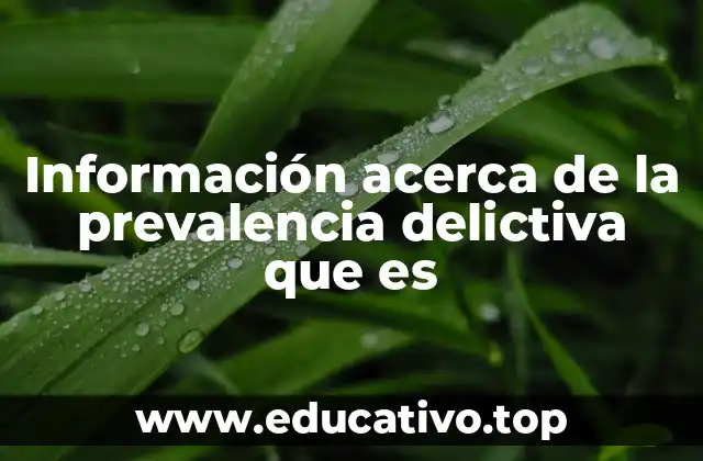 Información acerca de la prevalencia delictiva que es