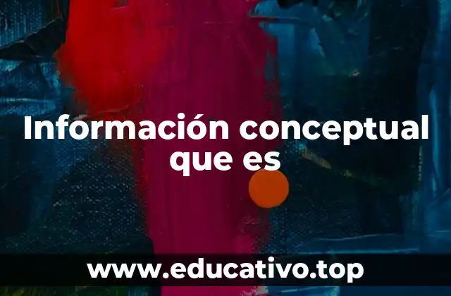 Información conceptual que es