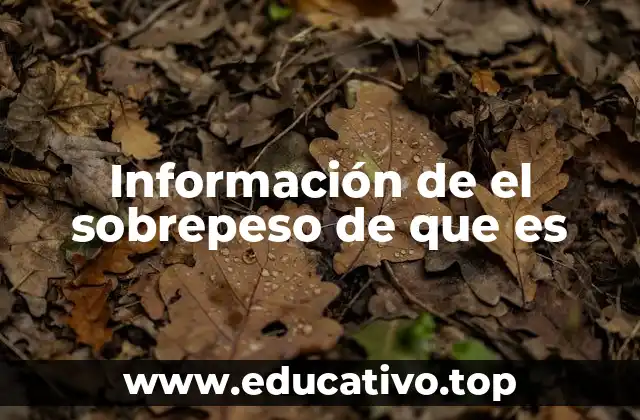 Entendiendo los factores que contribuyen al exceso de peso