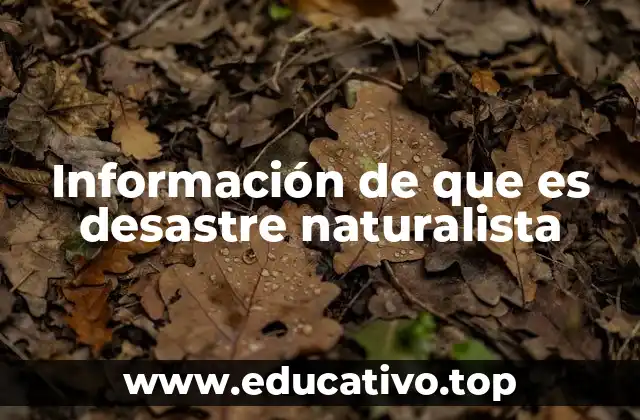 Información de que es desastre naturalista