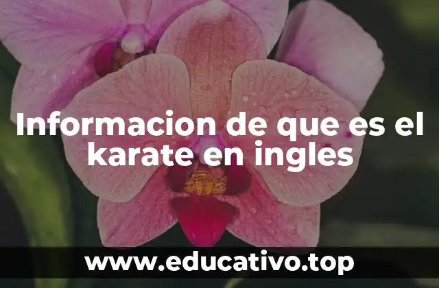 Informacion de que es el karate en ingles