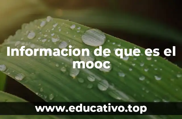 Informacion de que es el mooc