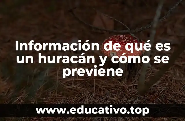 Información de qué es un huracán y cómo se previene