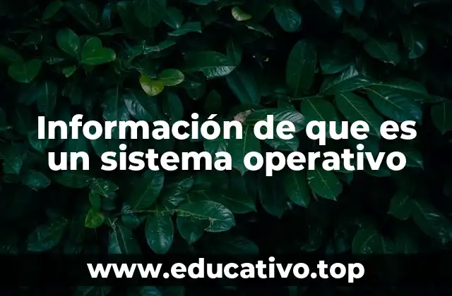 Información de que es un sistema operativo
