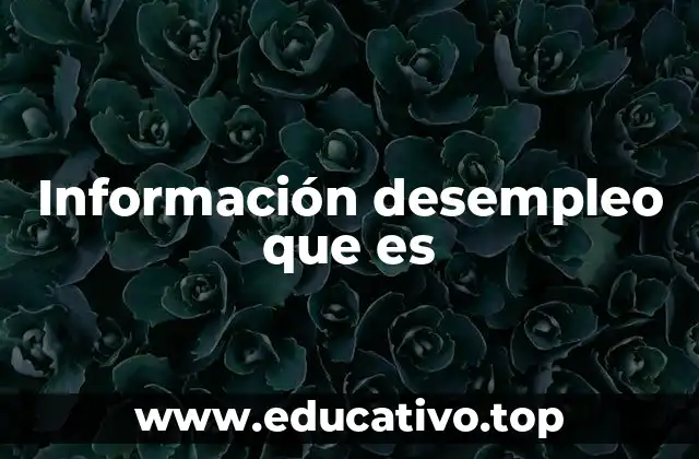 Información desempleo que es