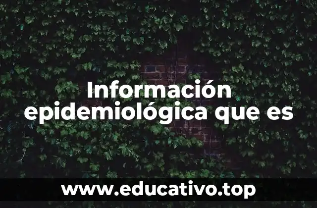 Información epidemiológica que es
