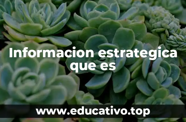 Informacion estrategica que es
