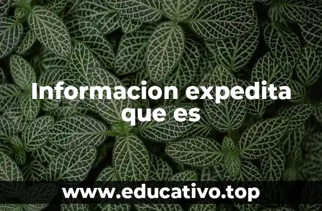 Informacion expedita que es