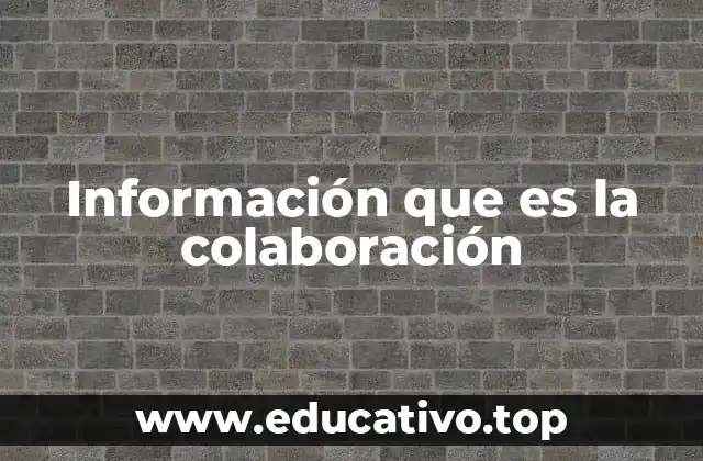 Información que es la colaboración