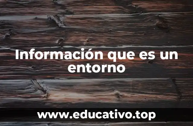 Información que es un entorno