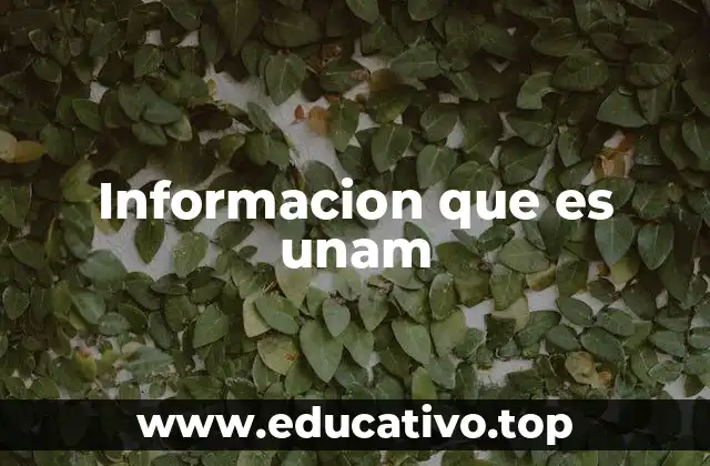 Informacion que es unam