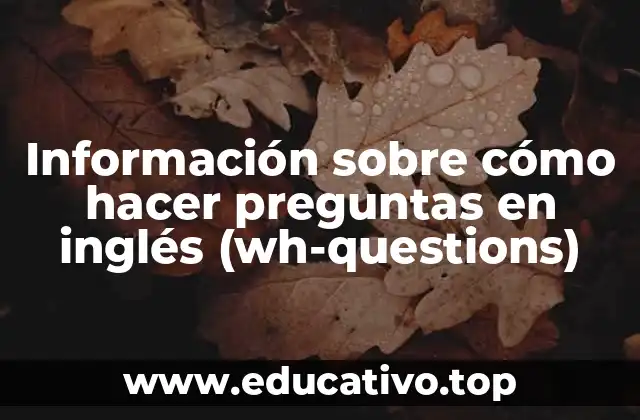 Información sobre cómo hacer preguntas en inglés (wh-questions)