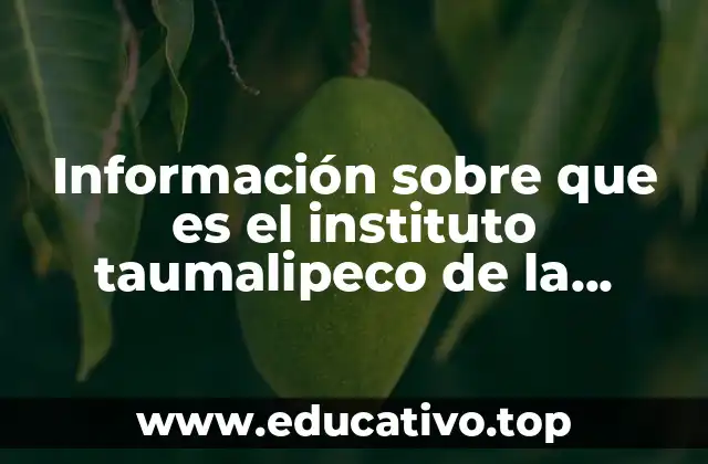 Información sobre que es el instituto taumalipeco de la juventud