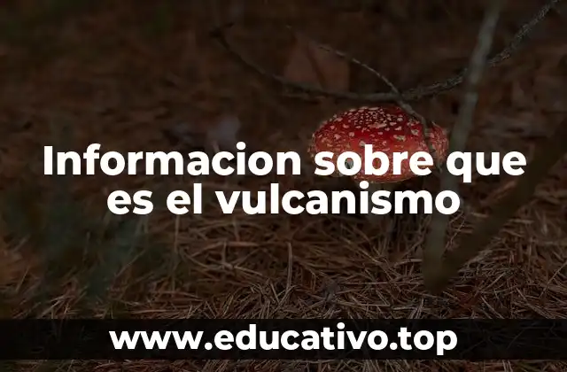 Informacion sobre que es el vulcanismo